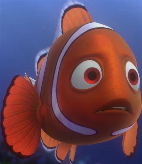 nemo fish|Pixar's lost clownfish .